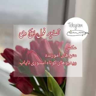 Telegram profile photo for پروفایل | بیوگرافی