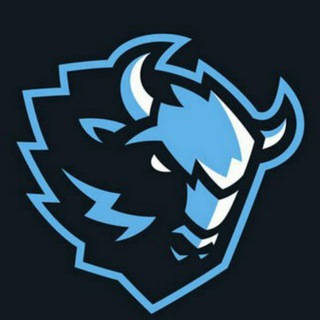 Telegram group profile photo for Чатик Динамо