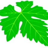 Telegram profile photo for Diario La Hoja
