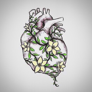 Telegram profile photo for قصص الفرج ♥️🌿