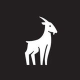Telegram profile photo for Вокруг шум