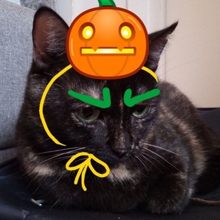Telegram profile photo for У нас в Рязани коты с бровями