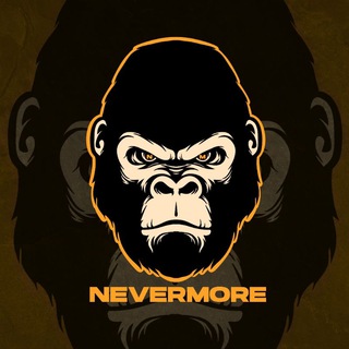 Telegram profile photo for NEVERMORE & B52🇵🇸