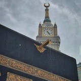 Telegram profile photo for مِنْهَاج السُّنة 📚