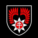 Telegram profile photo for БЕЛАРУСКАЯ СПЕЦРОТА БПЛА "ВОЛЯ"