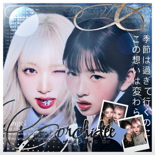 Telegram profile photo for нарезки жг | orchidée ⊹₊౿