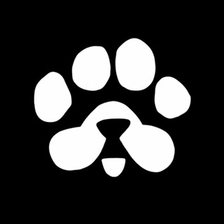 Telegram profile photo for PAWS Community