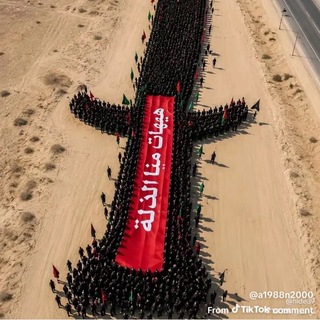 Telegram profile photo for ᷂موكب ᷂خدام ᷂الامام ᷂الحسين ᷂(ع) 🕊☘️،