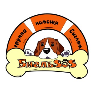 Telegram profile photo for БИГЛЬSOS - ГРУППА ПОМОЩИ БИГЛЯМ