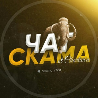 Telegram group profile photo for 🪝ЧАТ СКАМА