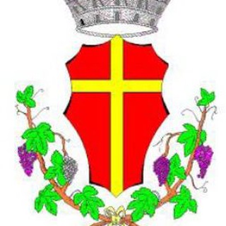 Telegram profile photo for 🇮🇹 Messina informa
