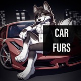 Telegram profile photo for CAR FURS RULES