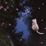 Telegram profile photo for -مَخیلههایذهن؛