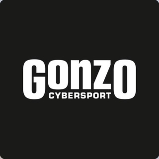 Telegram profile photo for GONZO Cybersport | Чертаново