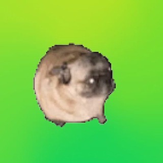 Telegram profile photo for 𝙁𝙐𝙉𝙉𝙔 𝙎𝙏𝙊𝙍𝙀 𝘽𝙀𝙇𝙂𝙍𝘼𝘿𝙀 🥳