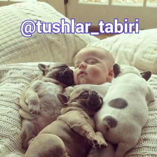 Telegram profile photo for 🌜🌜 Tushlar Ta'biri 🌛🌛