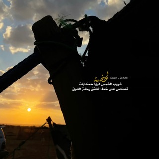 Telegram profile photo for ﴿هـٰا̍نۨـي التُّفَيْهِي ABU NAJM ☪︎ |✨