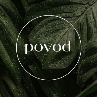Telegram profile photo for Povod