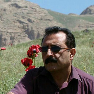 Telegram profile photo for شعر سولار
