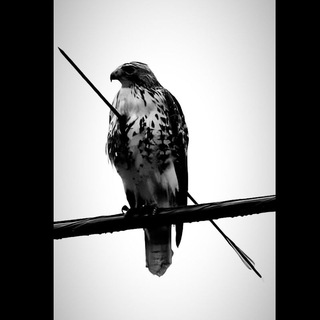 Telegram profile photo for 𝐕𝐨𝐢𝐝 𝐋𝐢𝐬𝐭🪐