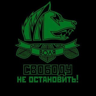 Telegram profile photo for База "Свободы"