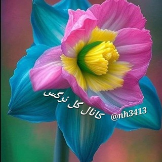 Telegram profile photo for گل نرگس