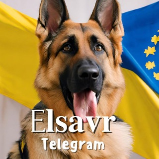 Telegram profile photo for 𝐄𝐥𝐬𝐚𝐯𝐫🐾🦖🇺🇦
