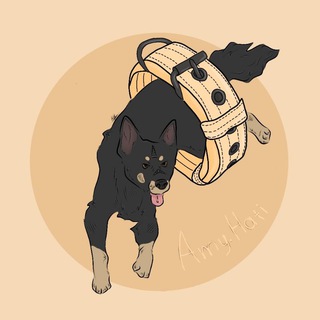 Telegram profile photo for ᴀᴍʏ.ʜᴀᴛɪ | амуниция для собак