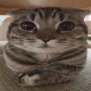 Telegram profile photo for Приватки от табурета