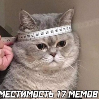 Telegram profile photo for Подпольные мемы