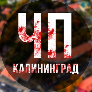 Telegram profile photo for ЧП Калининград