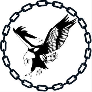 Telegram profile photo for Operaatio Kotkanpesä