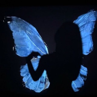 Telegram profile photo for Blue butterfly