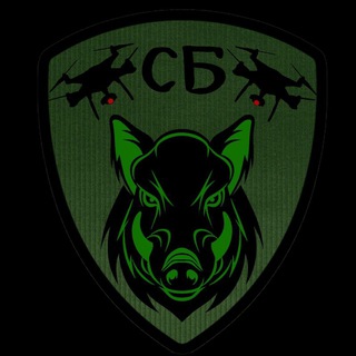 Telegram profile photo for Подразделение «Кабан»