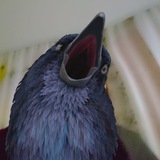 Telegram profile photo for Подвал Бᴀбы ɜины😍