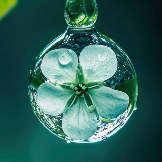 Telegram profile photo for Студия умного фитнеса