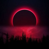 Telegram profile photo for انّكِ ليْ