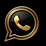 Telegram profile photo for 𝐖𝐒 𝟓𝟎-𝟏𝟎𝟎