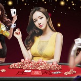 Telegram profile photo for 百家乐 攻略秘诀