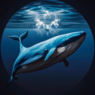 Telegram profile photo for WS出海打粉项目话术最新版(蓝鲸出海)