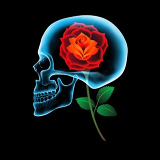 Telegram profile photo for پیرایش نوباخ
