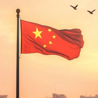 Telegram profile photo for 富强民主