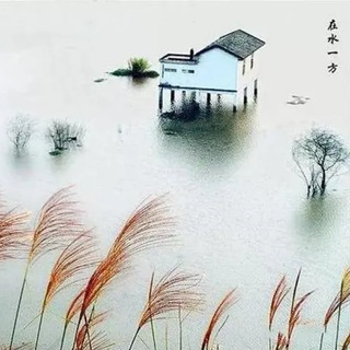 Telegram profile photo for 水一坊导航/全国选妃/修车大队/新闻吃瓜