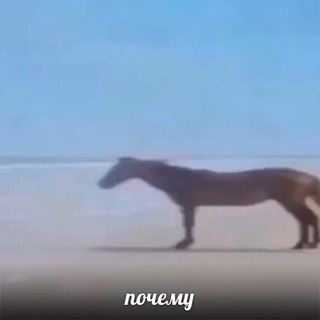 Telegram profile photo for щп Вало
