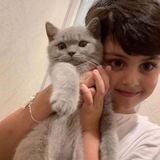 Telegram profile photo for 𝑨𝒙𝒊𝒚🫀 | اخي