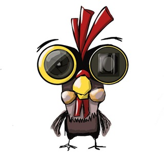 Telegram profile photo for НАКОКОЙ объектив снято?