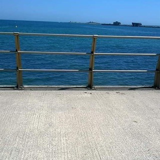 Telegram profile photo for Weymouth and Dorset Awakened Walks