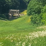 Telegram profile photo for midday meadow