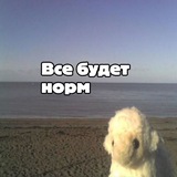 Telegram profile photo for Это Nimulka