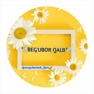Telegram profile photo for BEG‘UBOR QALB🕊